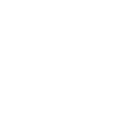  transparent-polaris-logo-white-480x53