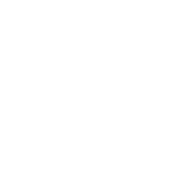  V Mariotti logoV Mariotti logo
