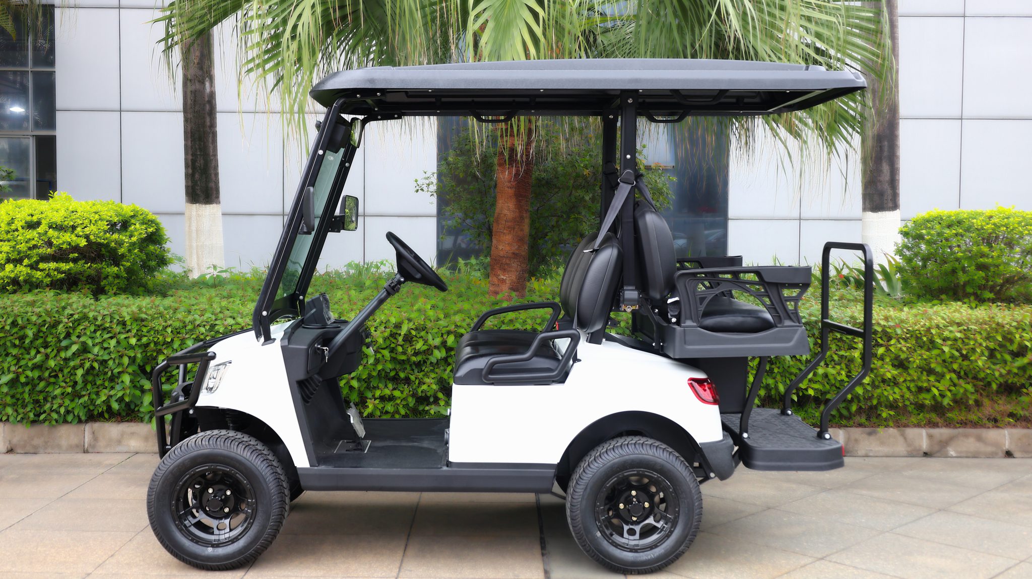 Passenger 2+2 Electric Cart